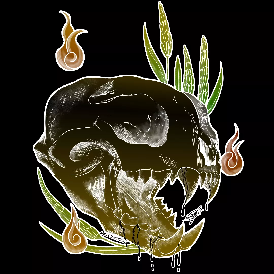 Imagen de perfil de Amled Michipan 001