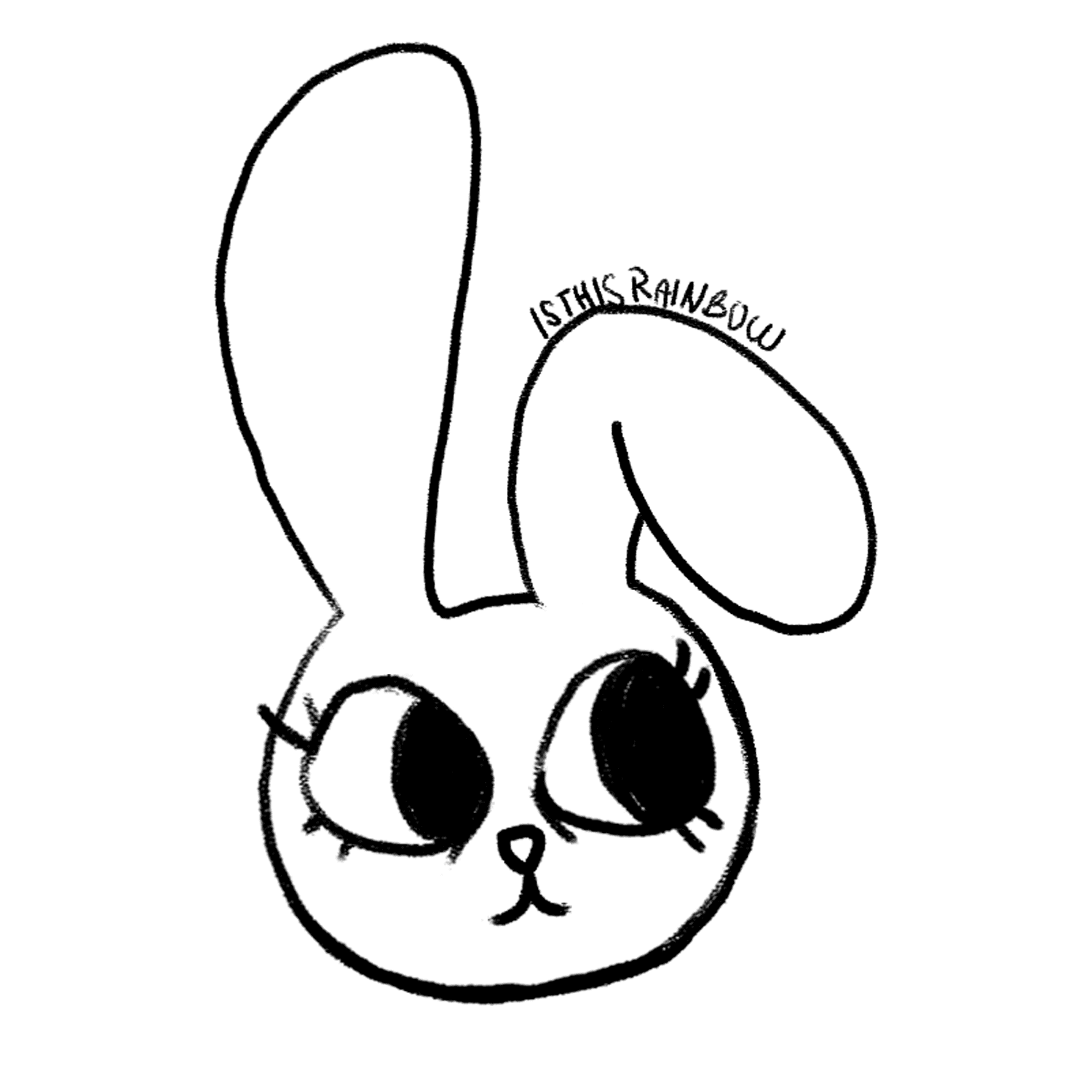 Imagen de perfil de Rainbow