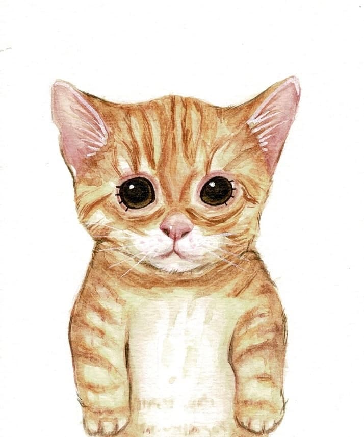 Imagen de perfil de jhuma